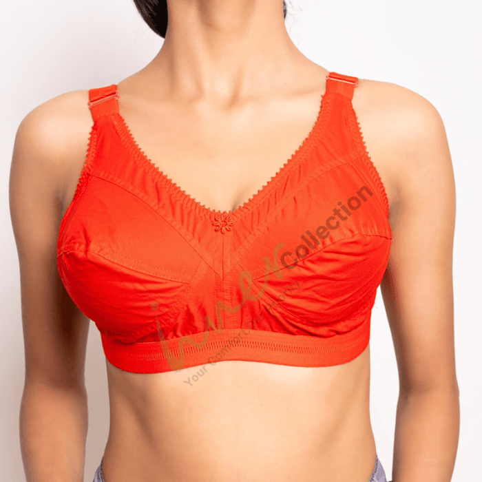 3pcs Cotton Indian Guddi Bra - Image 4