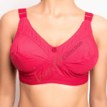 3pcs Cotton Indian Guddi Bra - Image 6
